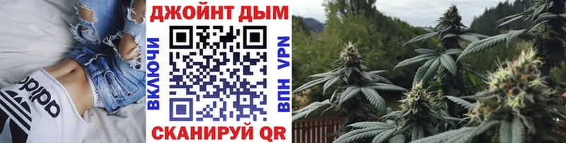 Каннабис сатива  Павловская 